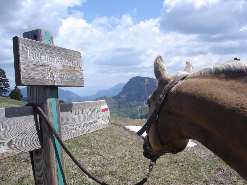 Rando de printemps : de Theys à Briançon 35_cel10