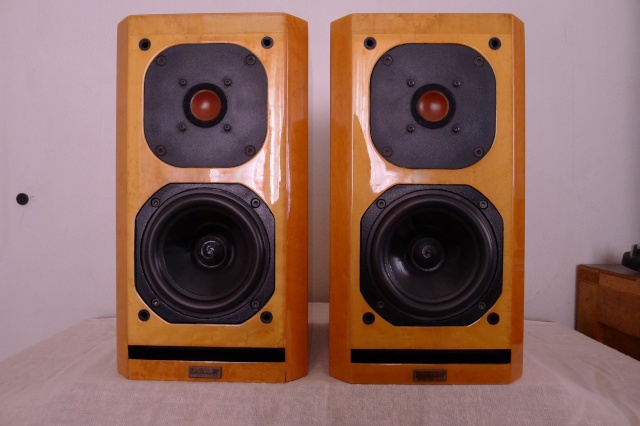 Acustik-Lab Bolero Kompakt standmount speakers (sold) P1050512