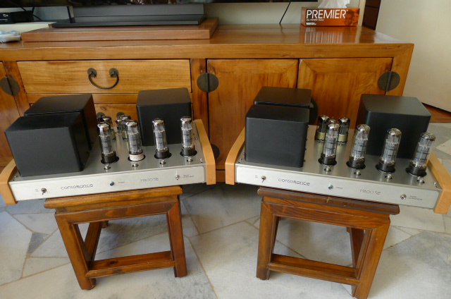 Consonance M800SE tube monoblock power amps (sold) P1050710