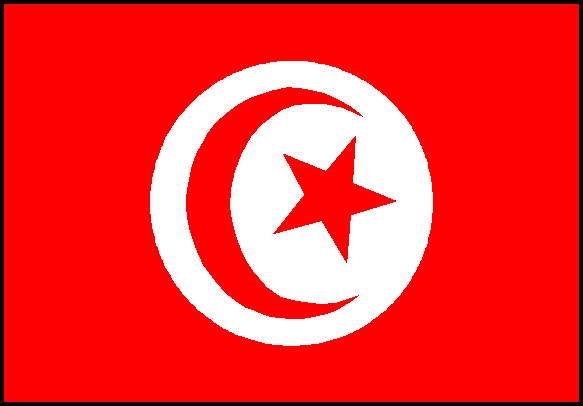 Révolution tunisienne  Drapea10