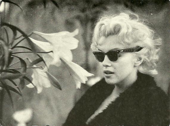 Marilyn Monroe Syfou-22