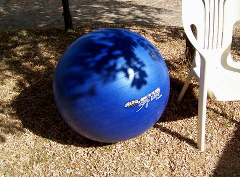 A vendre : Equine Activity Ball  100_7521