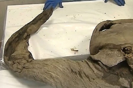 Un niño ruso encuentra los primeros restos de mamut bien conservados Mamut110