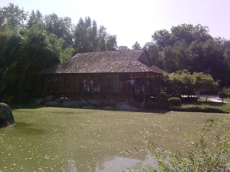 Le jardin japonais de TOULOUSE ! %D P1607113