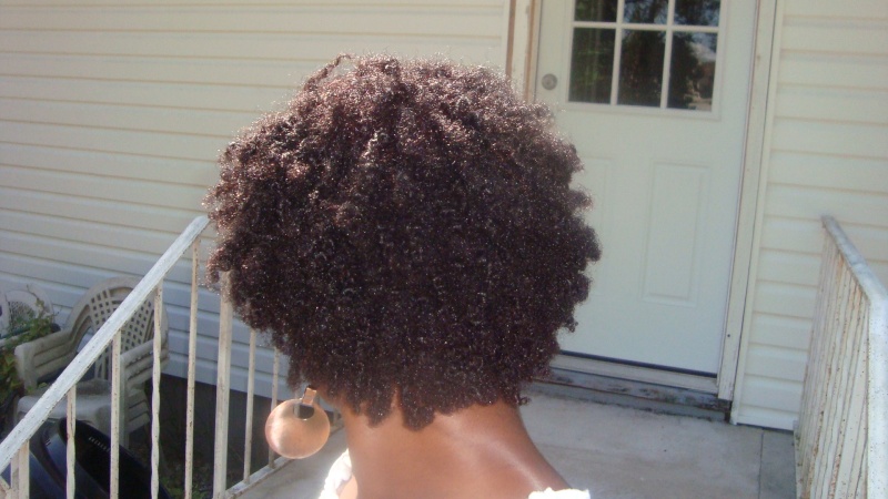 IntelligentBeauty;-) journey to mini twists/spring time regimen Benton11