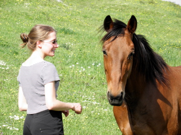 Trotteur Français versus Trotteur Américain P4250010