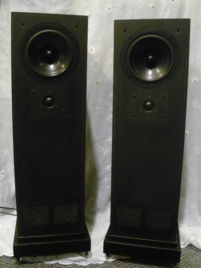 TDL Studio 1 floorstand speaker (used) SOLD P1050626