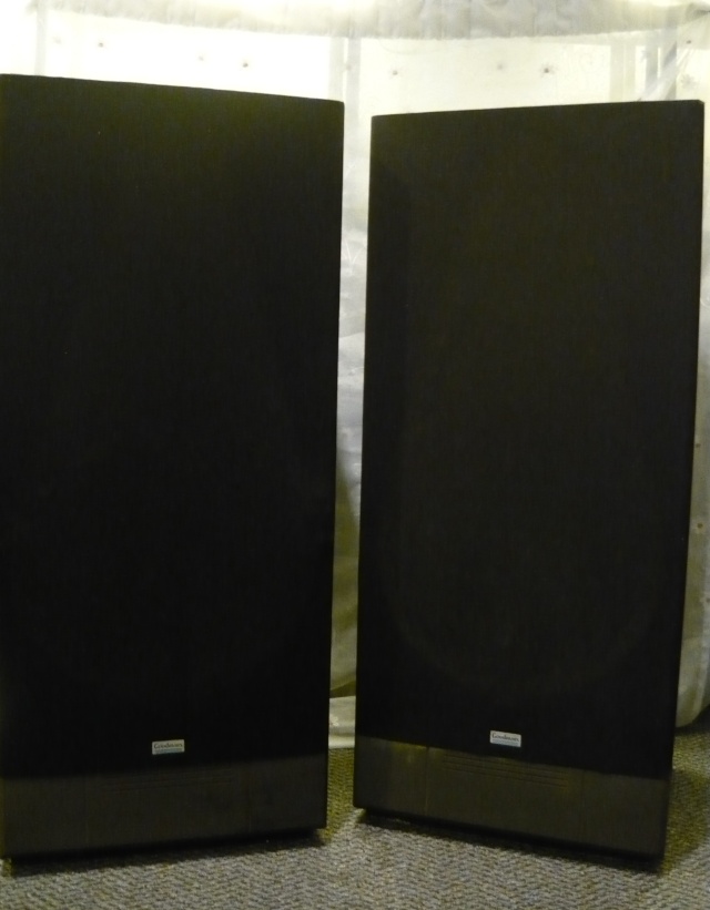 Goodmans Floorstand speaker (used) SOLD P1050633