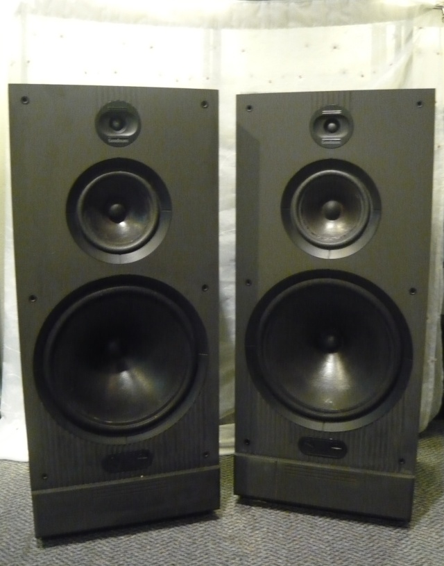 Goodmans Floorstand speaker (used) SOLD P1050634