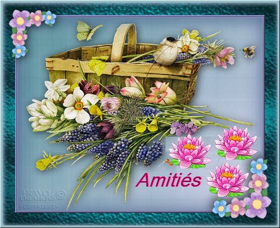 Nos petits amis!!!  (Ninnenne) Amitia10