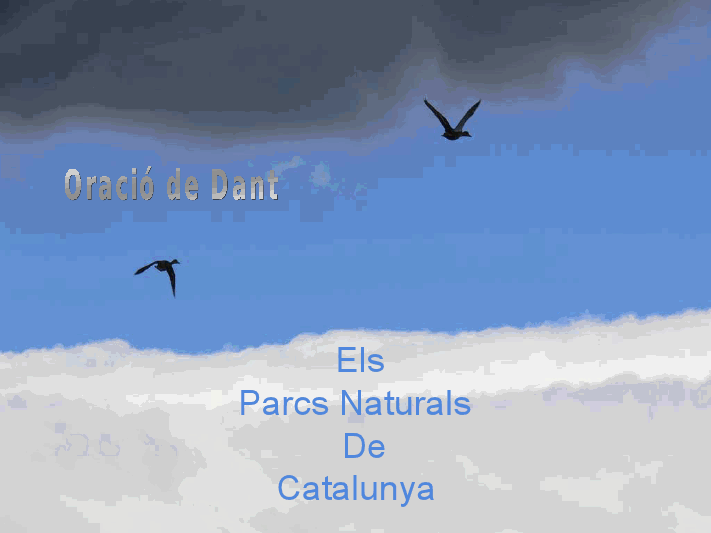 Petit voyage en Catalogne      (Ninnenne) Catalo10