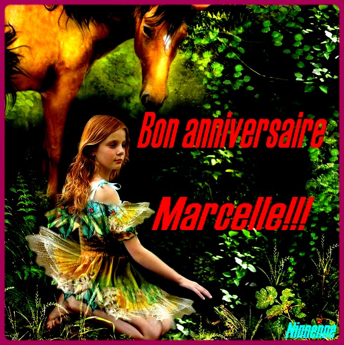 Joyeux anniversaire Marcelle   (Ninnenne) Cd783f10