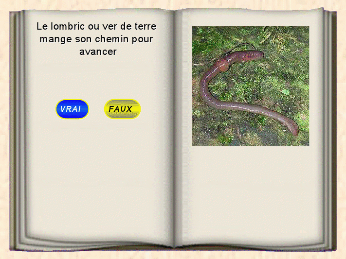 Le savez-vous?? sur les animaux Viewe921