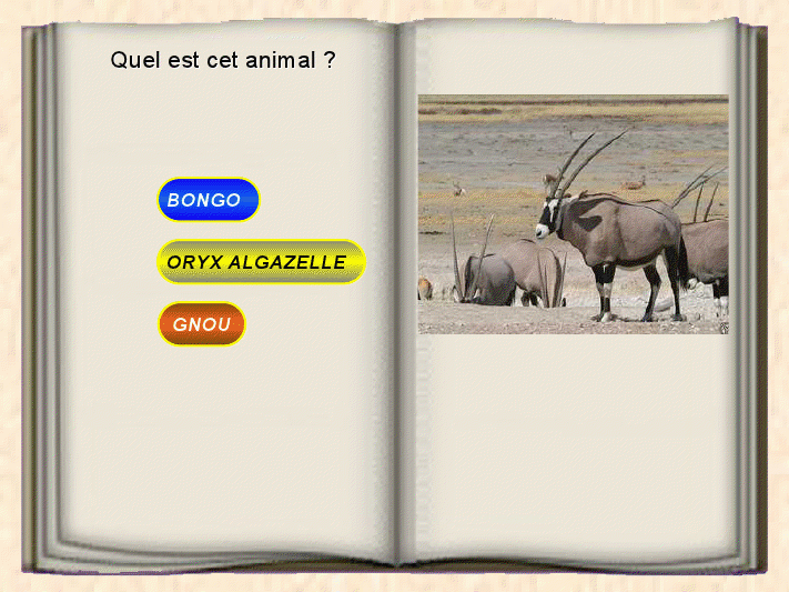 Le savez-vous?? sur les animaux Viewe935