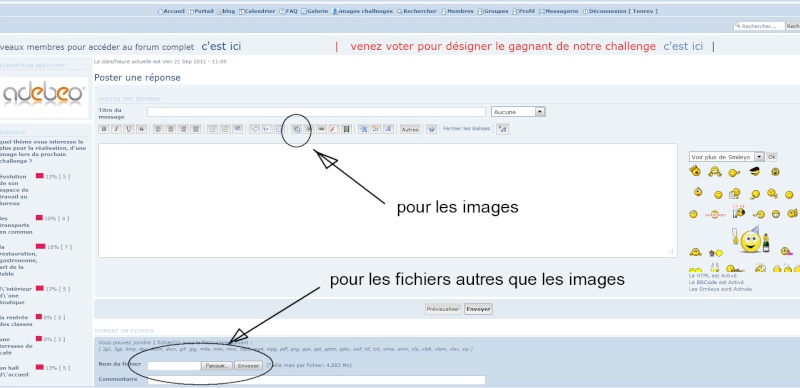 probleme bac a sable - Page 3 Images11