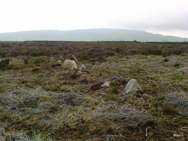 New Settlement / Enclosure found at Dumpit Hill, Hebden Dumpit10