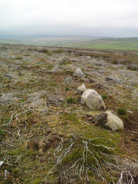 New Settlement / Enclosure found at Dumpit Hill, Hebden Dumpit11