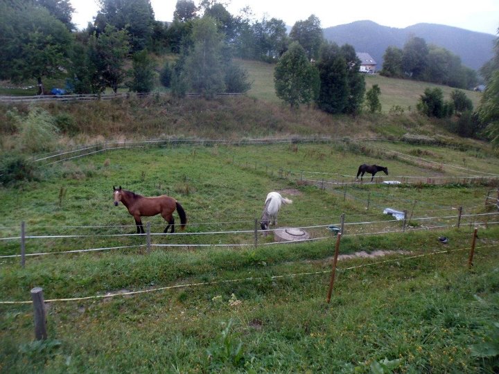 Du Buëch à la Bièvre par le Diois et le Vercors 48827510