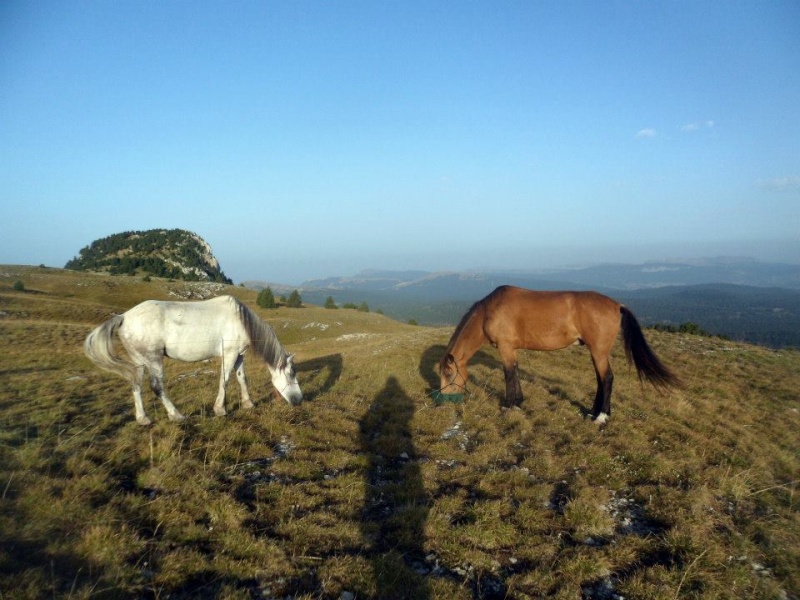 Du Buëch à la Bièvre par le Diois et le Vercors 58004610