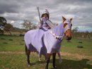 Fancy Dress - Horsey 710