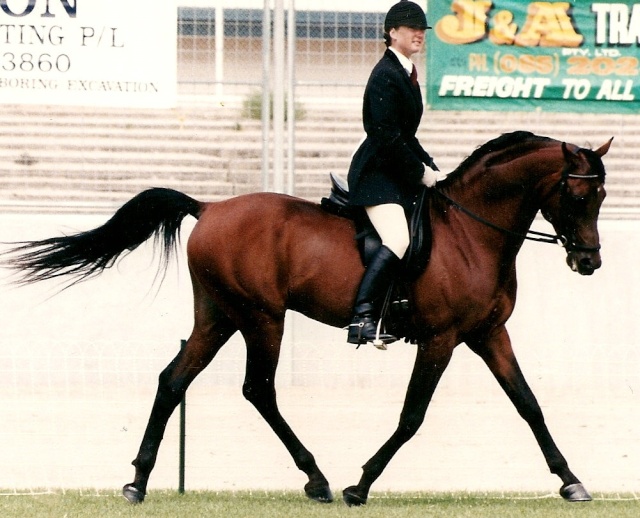 Ridden Hack - Best Presented Kardam10