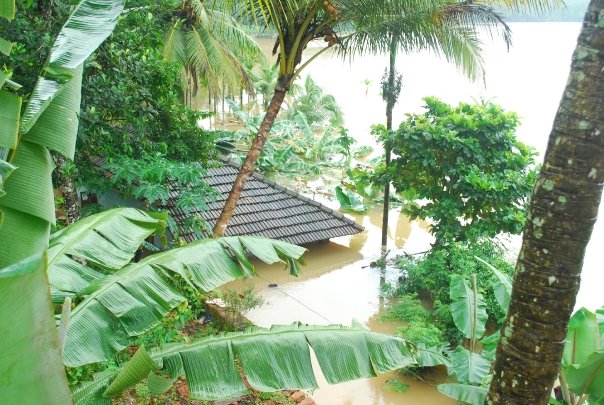 എന്റെ നാട്ടില്‍ നിന്നും ചില മഴക്കാല ചിത്രങ്ങള്‍ ....! - Page 3 1410