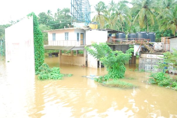 എന്റെ നാട്ടില്‍ നിന്നും ചില മഴക്കാല ചിത്രങ്ങള്‍ ....! - Page 2 5610