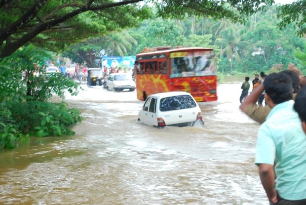 എന്റെ നാട്ടില്‍ നിന്നും ചില മഴക്കാല ചിത്രങ്ങള്‍ ....! - Page 3 7410