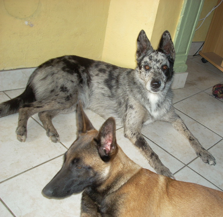 Quand Fidji et Mom rencontre la bande à Sanchica Dscn4022