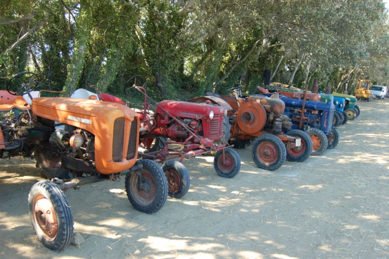 Fête Agricole de la Garde Adhémar 98851510