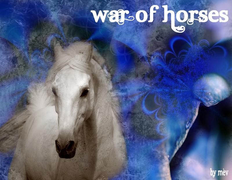 War of horses