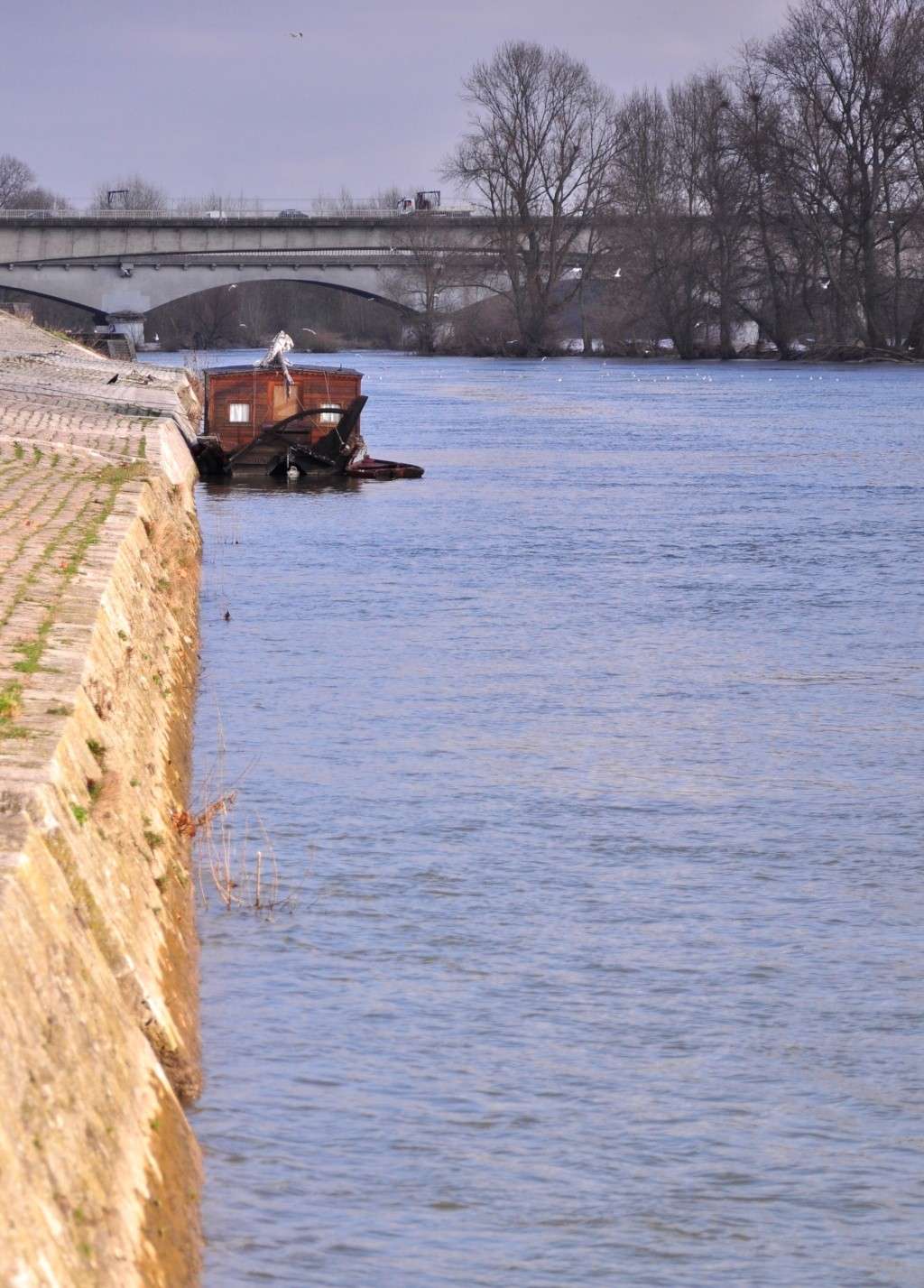 Orléans, Loiret Dsc_0033