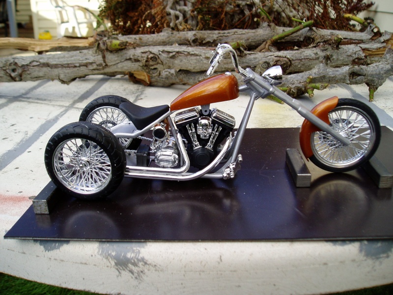 Custom trike