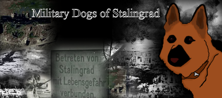 Bündnisanfrage - Military Dogs of Stalingrad Stalin11