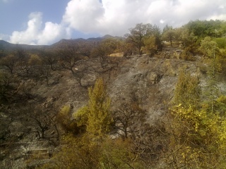 Incendio en barranco blanco 01092011