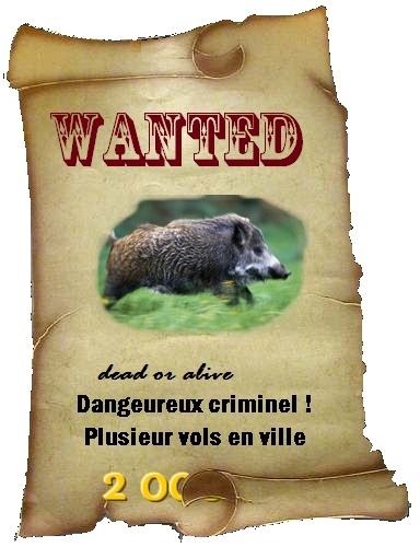 Wanted à remplir Wanted13