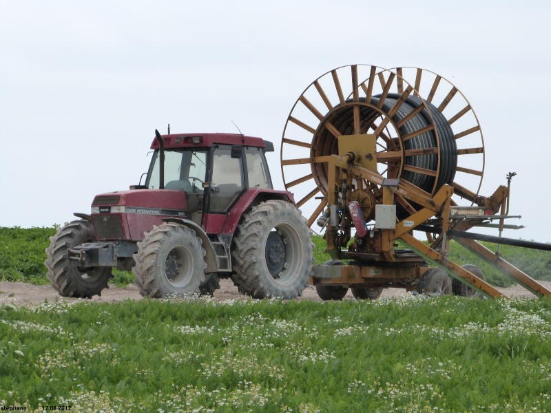 Case (IH) Aolien39