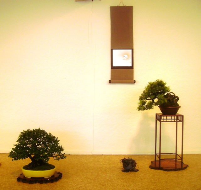 Greenwood Bonsai Studio, Bonsai Bash 2012 Pict2410