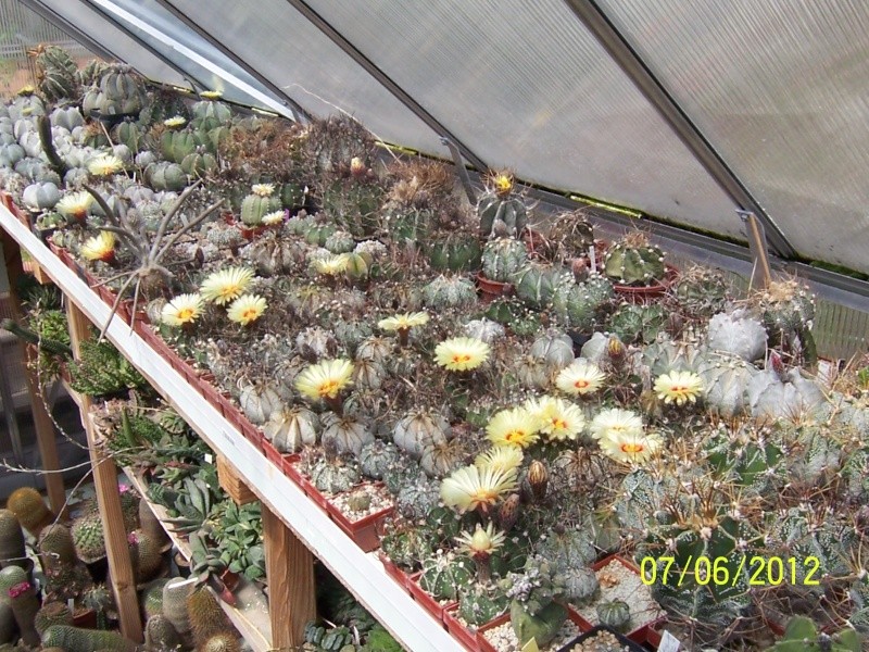 Good morning everybody, I´am a new member - a cacti lover!!! Bild1290