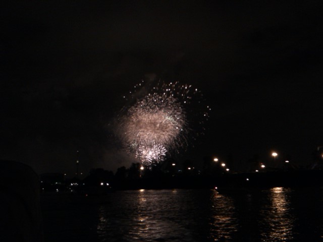 les feux d'artifice ! Img29310