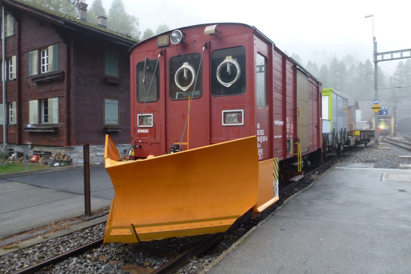 trains de travaux - Trains de travaux en miniatures... - Page 2 P1050210