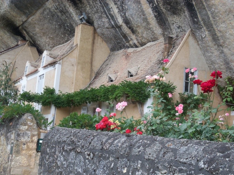 En France. l'insolite - Page 2 Sarlat17