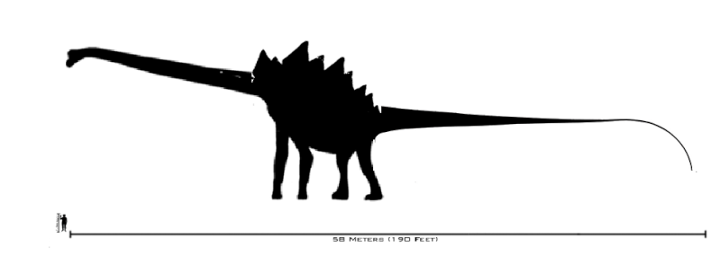 Titanogotusaurus Titano10