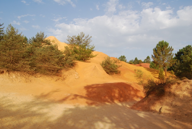 Balade dans le Lubéron Dunes11