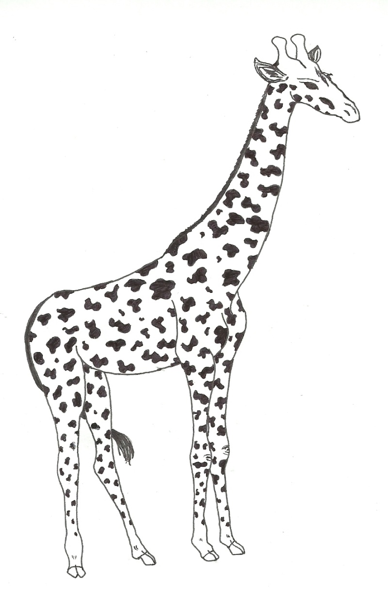 Didi's Drawings o/ Girafe11