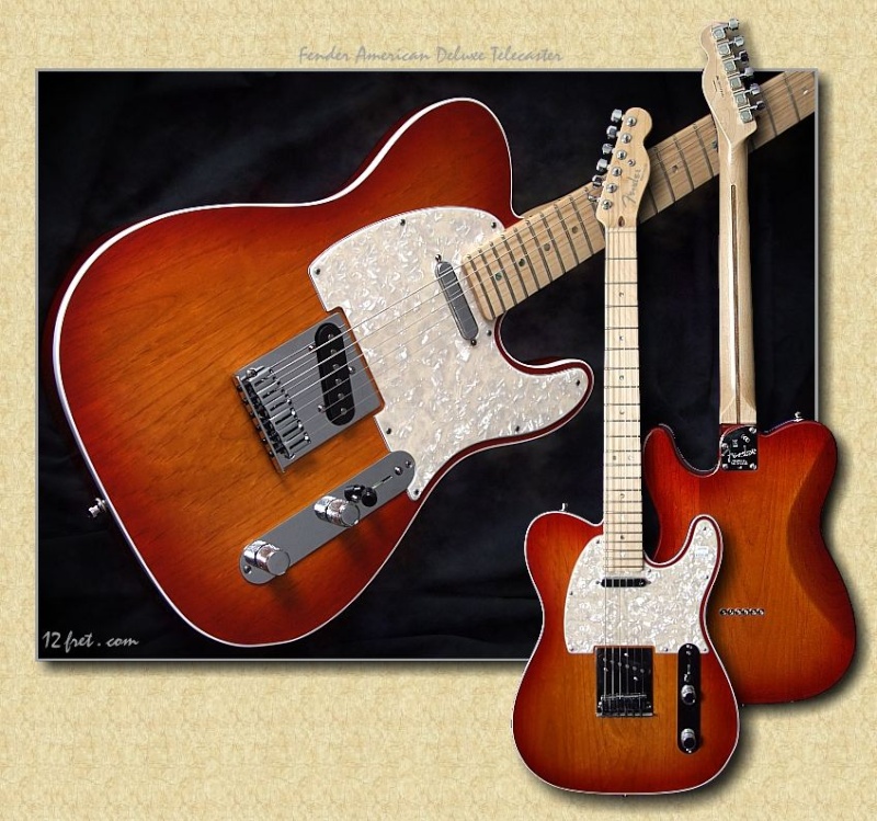 Les Telecaster Fender Richie Kotzen - Page 2 Fender10