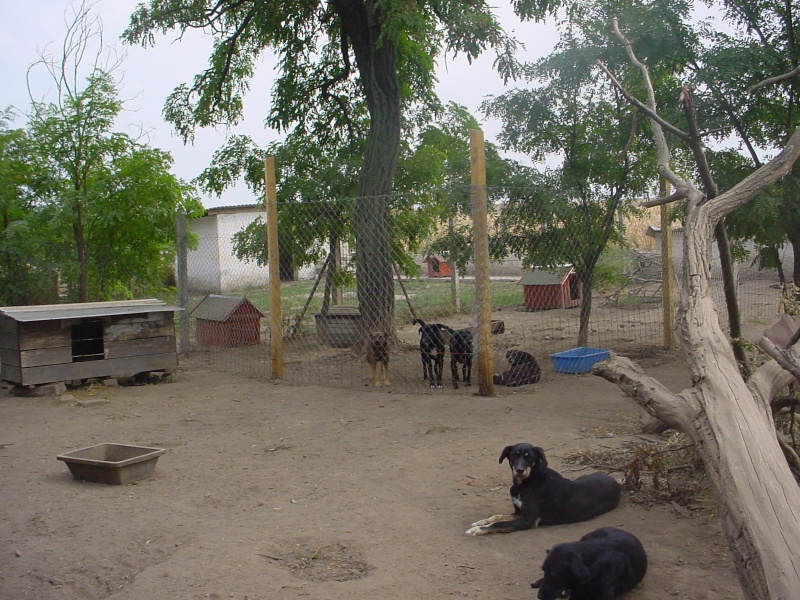 Nouveaux travaux réalisés au refuge de Backa Ms-210