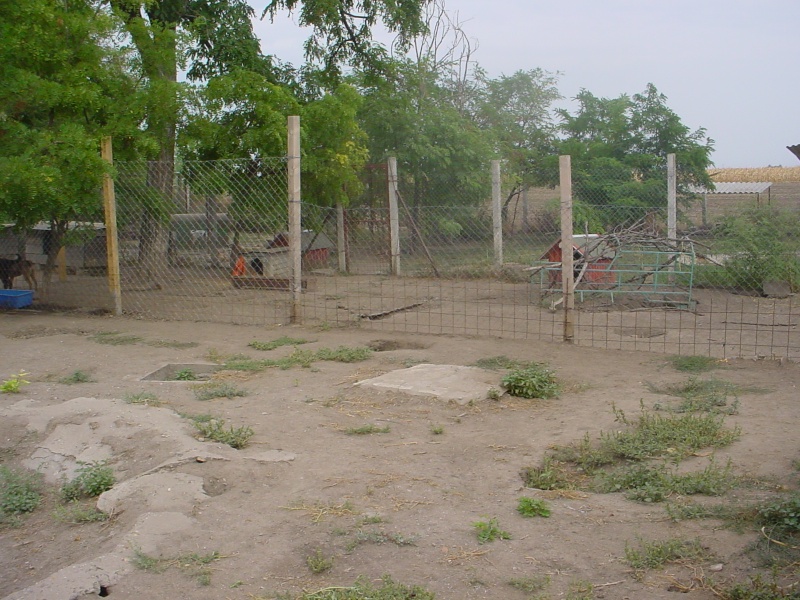 travaux - Nouveaux travaux réalisés au refuge de Backa Ms310