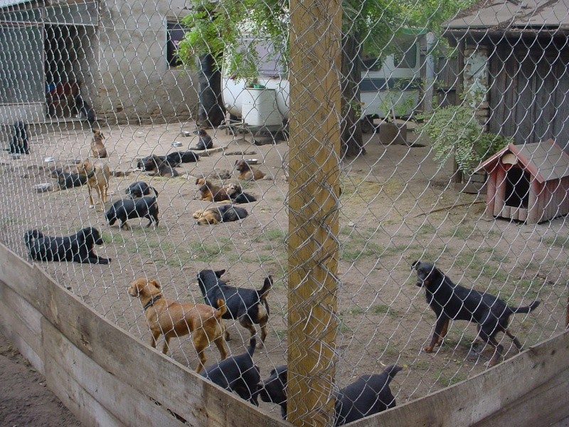 travaux - Nouveaux travaux réalisés au refuge de Backa Small_12