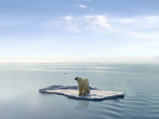 Preocupante deshielo en el Ártico Notici10